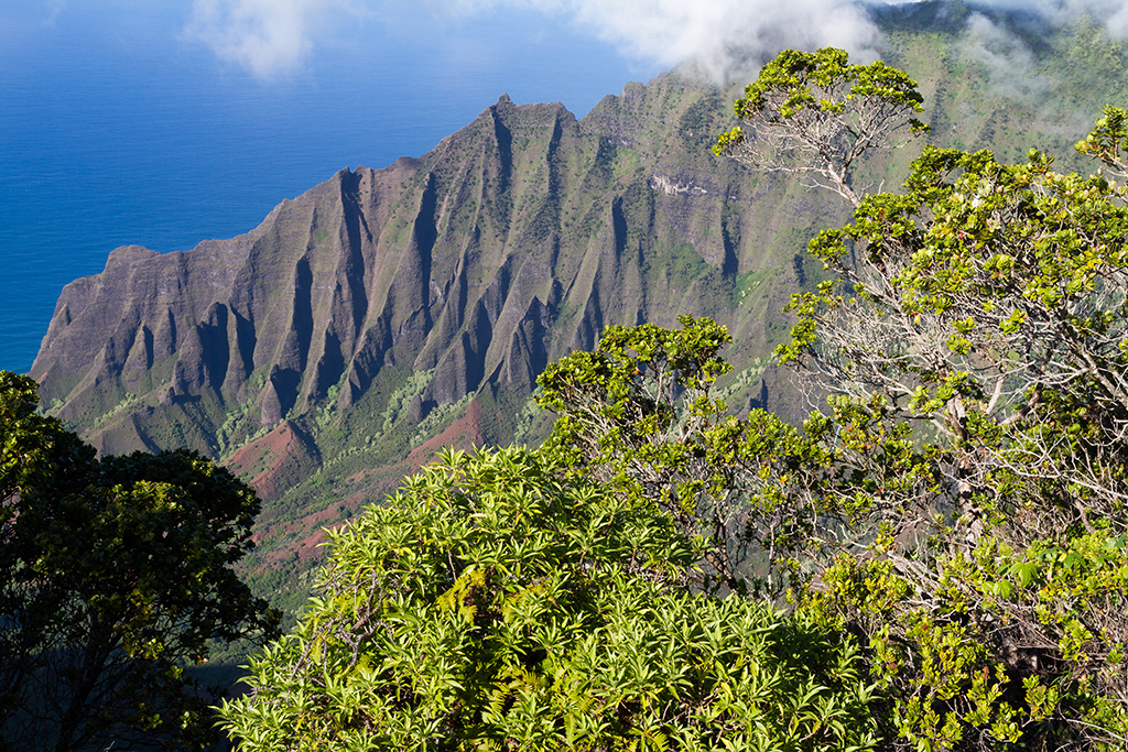 Kauai - 018.jpg